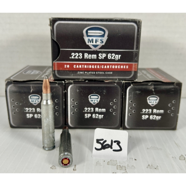 AMMO: 80X MFS .223 REM - 62 GR SP