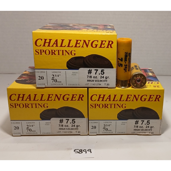 AMMO: 75X CHALLENGER 20GA - 2 3/4IN - #7.5 SHOT 