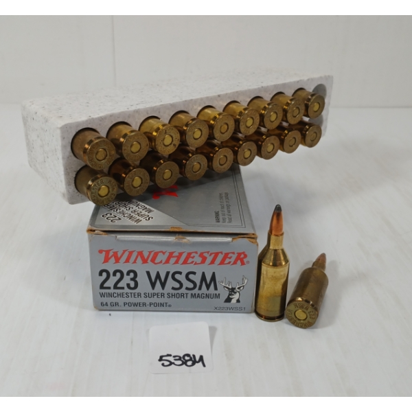 AMMO: 20X WINCHESTER .223 WWSM - 64GR - PP