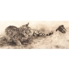 Image 2 : "BOBCAT AND SPARROW" BY GEORGE MCLEAN (PRS CDN ARTIST) - FRAMED ETCHING