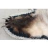 Image 3 : BADGER SKIN RUG
