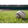 Image 1 : DON'T STRIKE OUT - LET’S KNOCK THIS SALE OUT OF THE PARK!