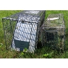 Image 2 : LOT OF 2 - LIVE TRAPS