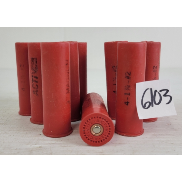 AMMO: 12X ACTIVE 12GA - 3IN - #2 SHOT