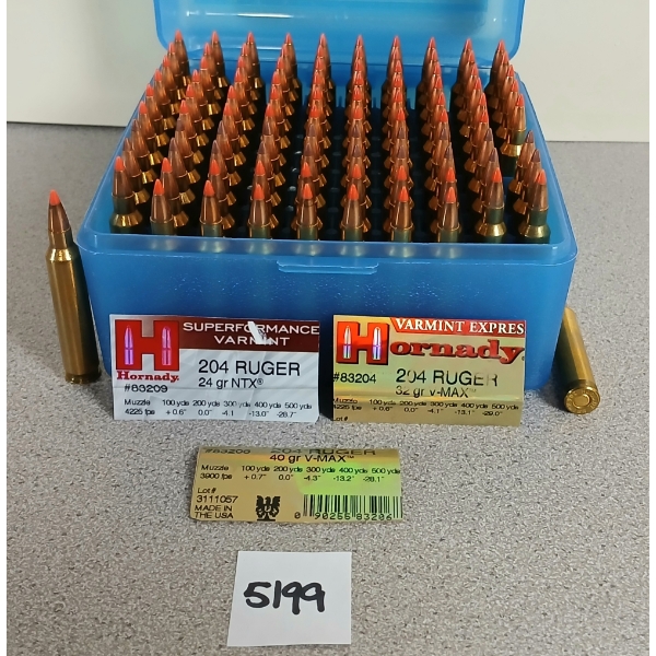 AMMO: 98X HORNADY .204 RUGER - 24, 32, 40GR - NTX & V-MAX - FACTORY LOADS 