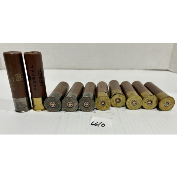 AMMO: 10X 10 GA 3-1/2 IN - STEEL