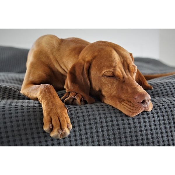 DON'T SNOOZE AND LOOSE! THE FINAL SESSION BEGINS CLOSING AT 9AM ON SATURDAY.