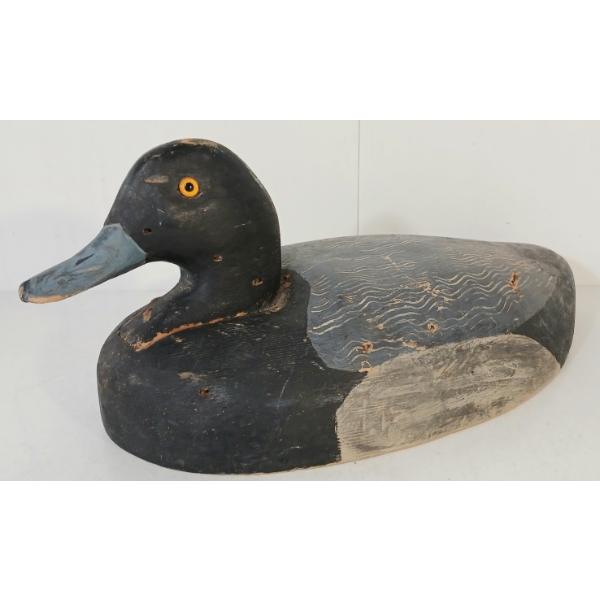 GOLDEN EYED BLUEBILLED DECOY DUCK