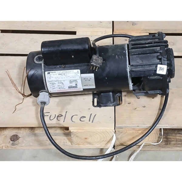 MAGNETEK CENTURY LASAR POOL / SPA MOTOR