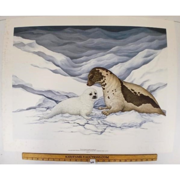  GENTLE MOMENTS - HARP SEALS  BY CHRISTINE MARSHALL (PRS CDN ARTIST) - LITHO PRINT