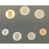 Image 3 : 2011 RCM SPECIMEN SET