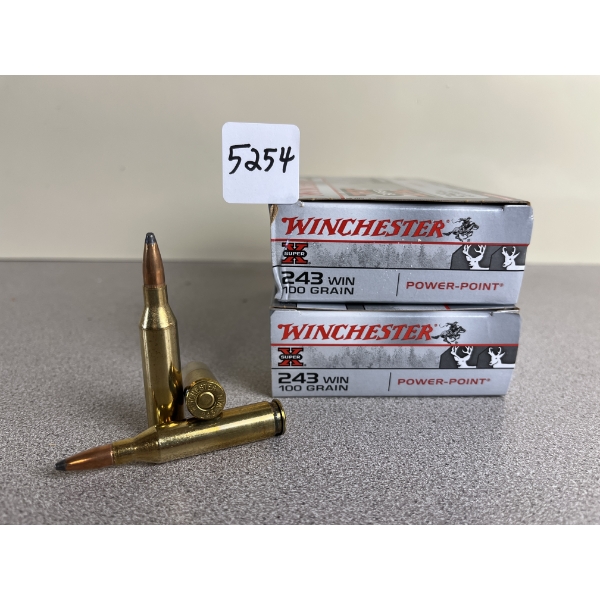 AMMO: 40X WINCHESTER .243 WIN 100 GR. POWERPOINT 