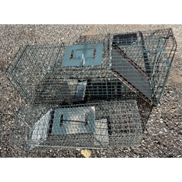 LOT OF 2 - LIVE TRAPS - LARGEST IS 32 INCHES