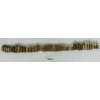 Image 1 : AMMO: 40X UNCOMMON HANDGUN CARTRIDGES