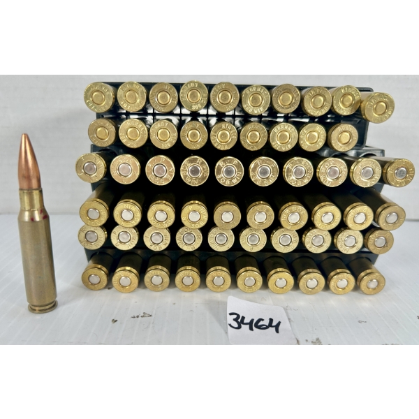AMMO: 60X .308 WIN FMJ - RELOADS 