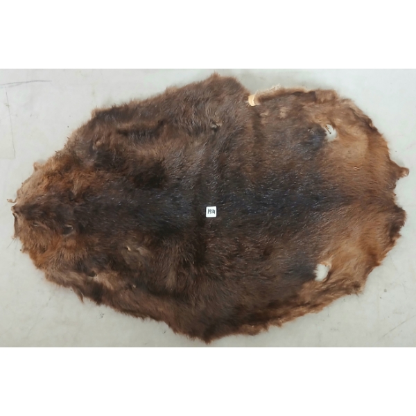 BEAVER PELT