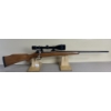 Image 3 : CZ VZ 24 MAUSER IN .243 WIN