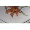 Image 2 : "SPRING CAMEO - CAPE MAY WARBLER & DAY LILY" BY CHRISTINE MARSHALL (PRS CDN ARTIST) 
