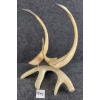 Image 2 : BIRDS BY E. KOTOKAK - ANTLER