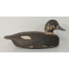 Image 3 : GOLDEN EYED DECOY DUCK BY ADAM BROWN