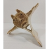 Image 2 : "SHAMAN" BY MAUDIE OHIKTOOK - WHALE BONE