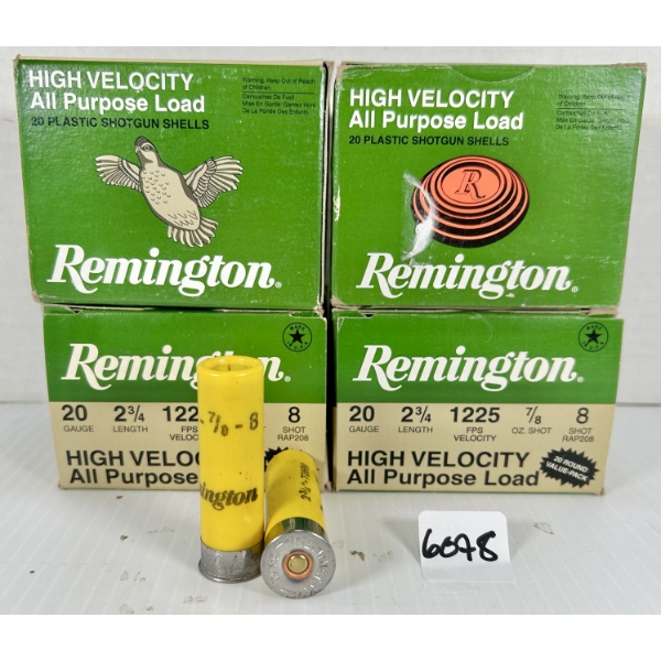 AMMO: 80X REMINGTON 20 GA 2-3/4 IN - #8