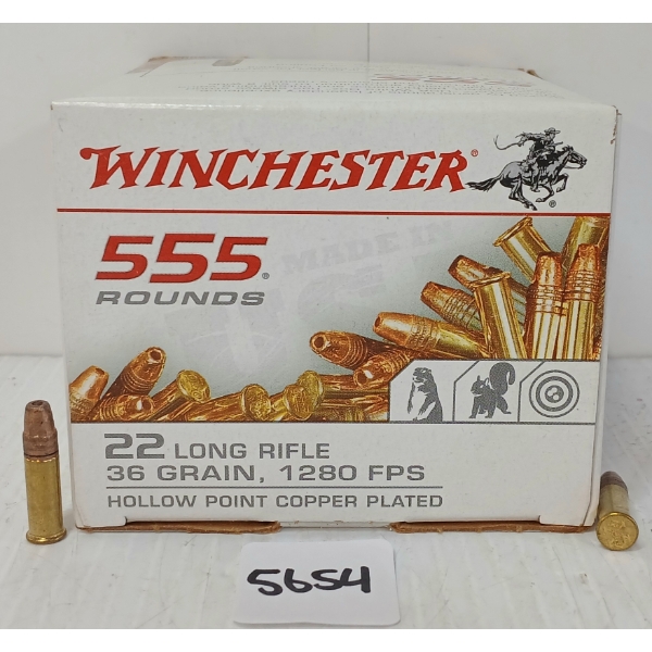 AMMO: 555X WINCHESTER .22 LR - 36GR - HP