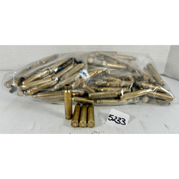 BRASS: 208X .204 RUGER 