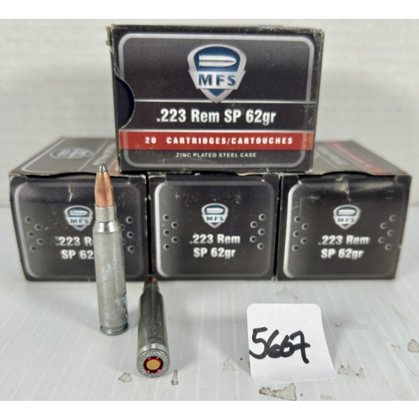 AMMO: 80X MFS .223 REM - 62 GR SP