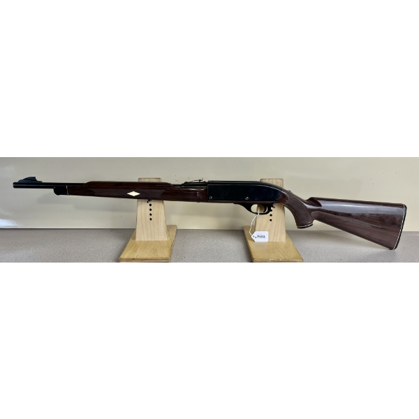 REMINGTON NYLON 66 IN .22 LR 