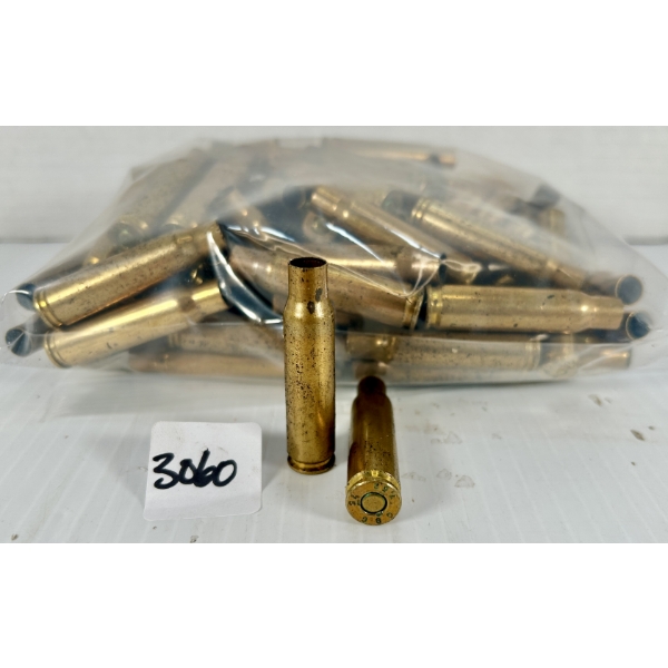 BRASS: APPROX 60X .308 WIN - PRIMED