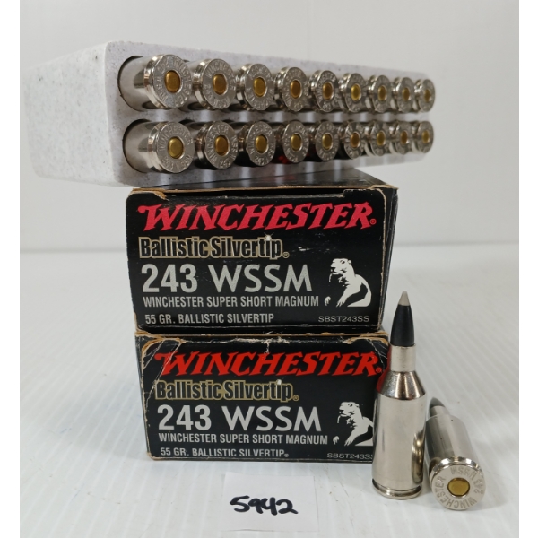 AMMO: 40X WINCHESTER .243 WSSM - 55GR - BALLISTIC SILVERTIP