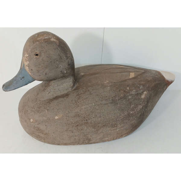 BLUEBILLED DECOY DUCK