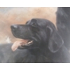 Image 2 : "LABRADORS" BY JOHN TRICKETT (PRS BRITISH ARTIST) - FRAMED PRINT