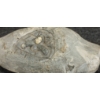 Image 2 : MAN IN IGLOO - SIGNED - BONE & STONE