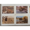 Image 5 : REMINGTON'S PORTFOLIO OF GREAT GAME OF THE WORLD BY BOB KUHN - INCL "COURTING CHALLENGE," ETC