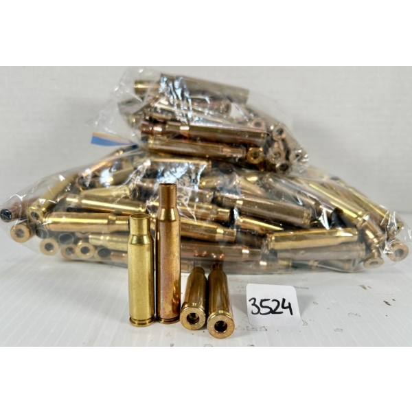 BRASS: 192X .308 WIN & 25X .270 WIN