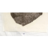 Image 5 : "CAMPING AT NIGHT" BY MARK EMERAK - STONECUT STENCIL
