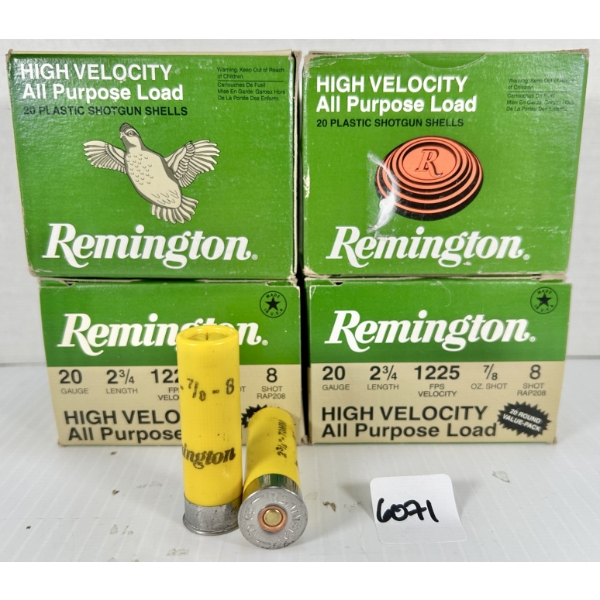 AMMO: 80X REMINGTON 20 GA 2-3/4 IN - #8
