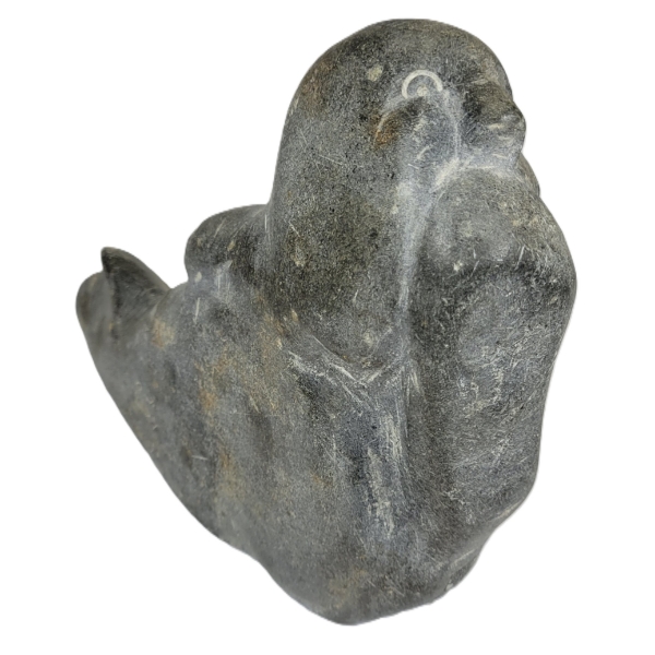 SEAL SUCKING HIS PAW BY CHRISTINE AALUK SIVANERTOK (PRS CDN ARTIST) - STONE