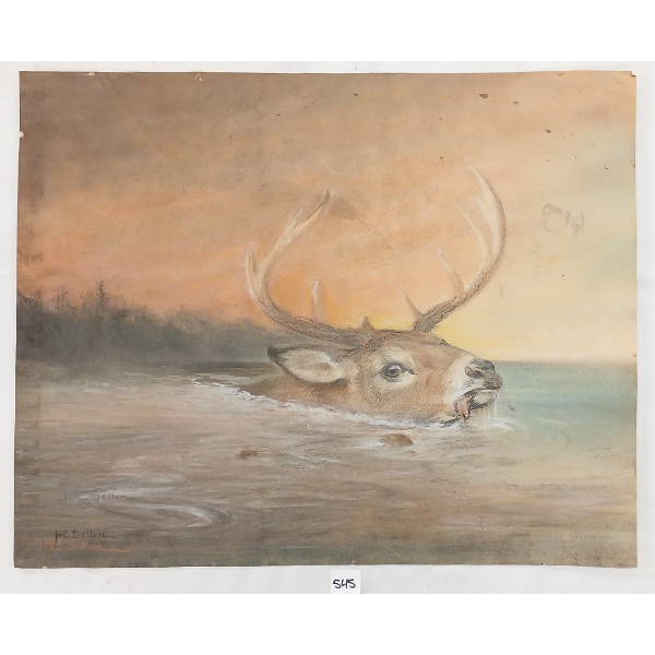 SWIMMING WHITE TAIL DEER BY H.E. SELLER - WATERCOLOUR ON PAPER