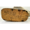 Image 5 : LOT OF 2 -TAXIDERMY FORMS