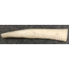Image 6 : WHALE - SIGNED - BONE