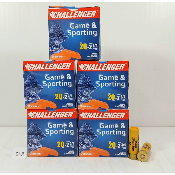 AMMO: 125X CHALLENGER 20GA - 2 3/4IN - #9 SHOT