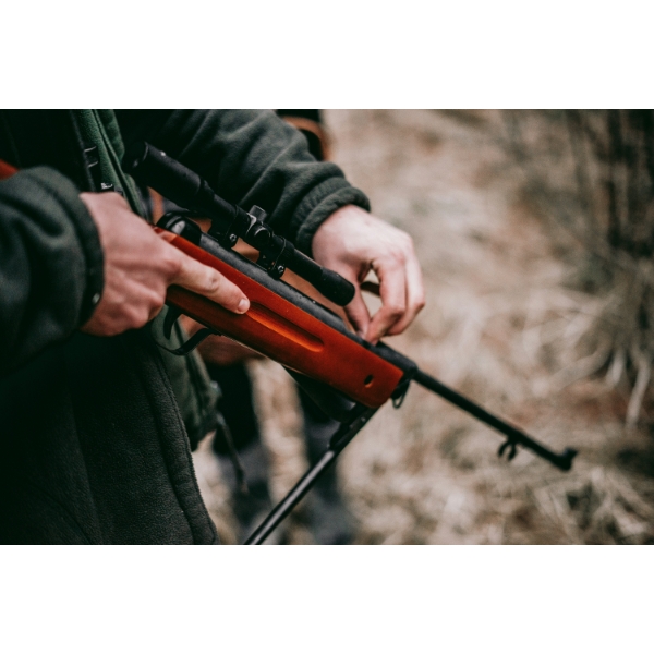 DON'T MISS YOUR MARK - READ THE OPENING LOTS FROM THE 1ST SESSION.