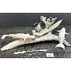 Image 6 : NARWHAL HUNTER IN KAYAK BY PAKAK INUKSUK - CARIBOU ANTLER, IVORY W/ SINEW