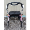 Image 2 : TRILLIUM EVOLUTION WALKER 