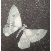 Image 2 : "INFINITY AND CLARITY" BY MICHAEL ROBINSON (1948-2010) - ETCHING