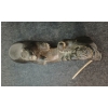 Image 8 : MAN FIGHTING BEAR BY NOAH TUKAI PAULOSIE (PRS CDN ARTIST) - STONE
