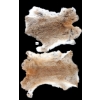 Image 1 : LOT OF 2 - ARCTIC HARE PELTS